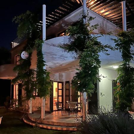 Green Villa in Olives Bar Buitenkant foto