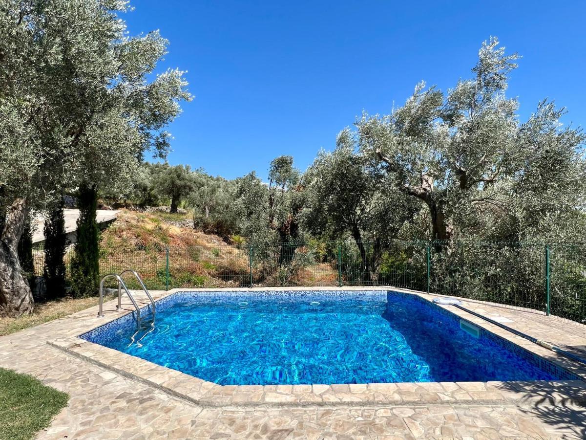 Green Villa in Olives Bar Buitenkant foto