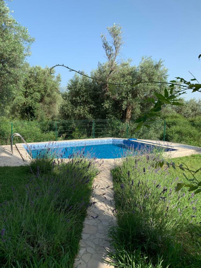 Green Villa in Olives Bar Buitenkant foto